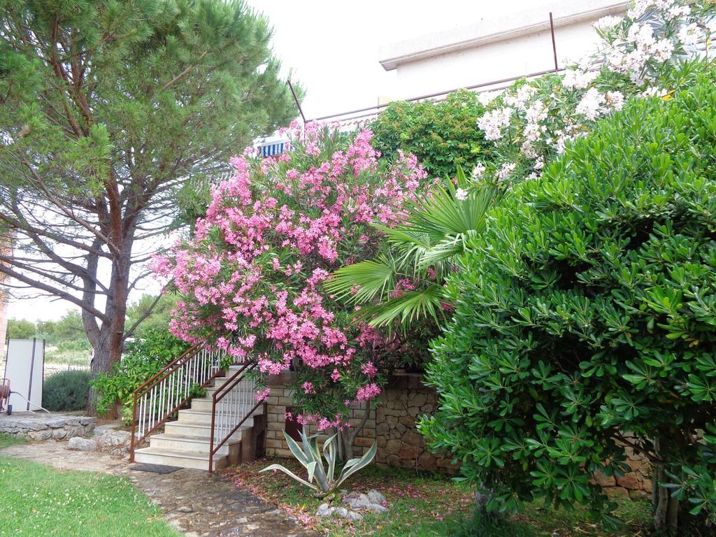 I & S Apartments Vodice Bagian luar foto